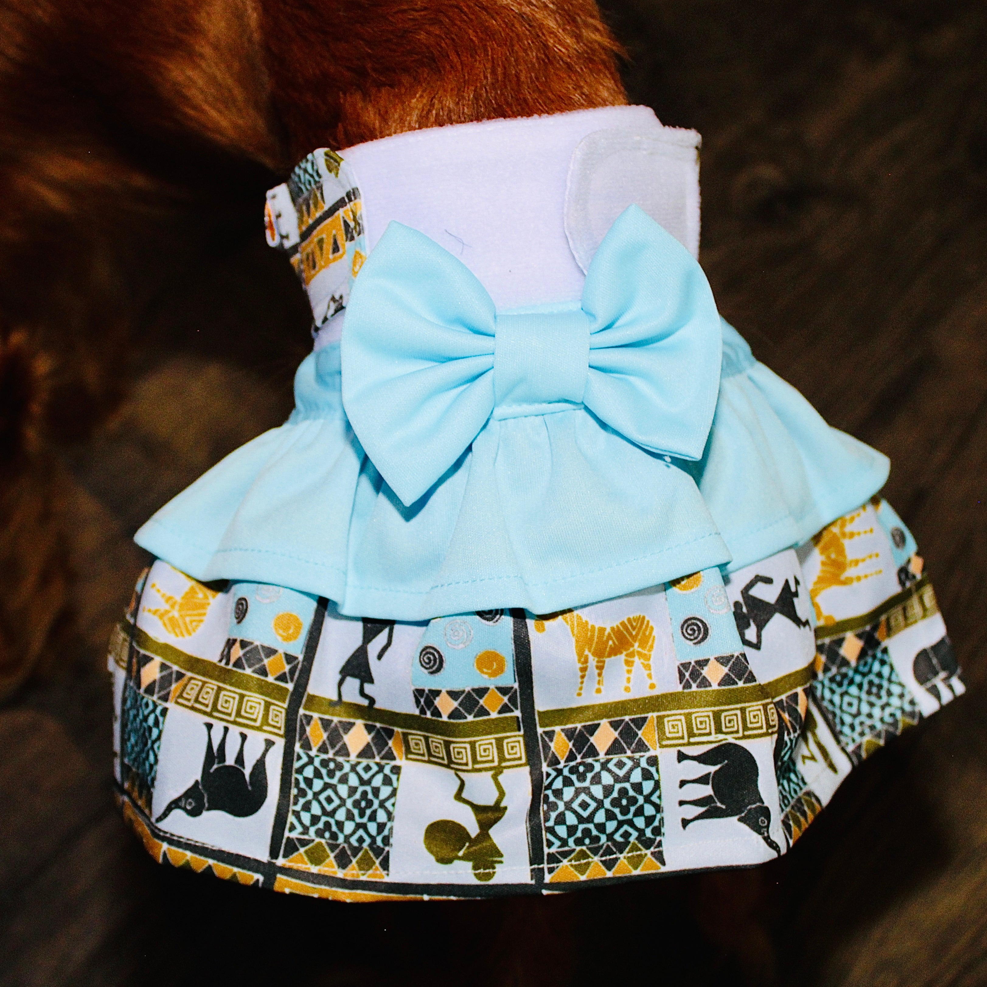 Female Dog Diaper