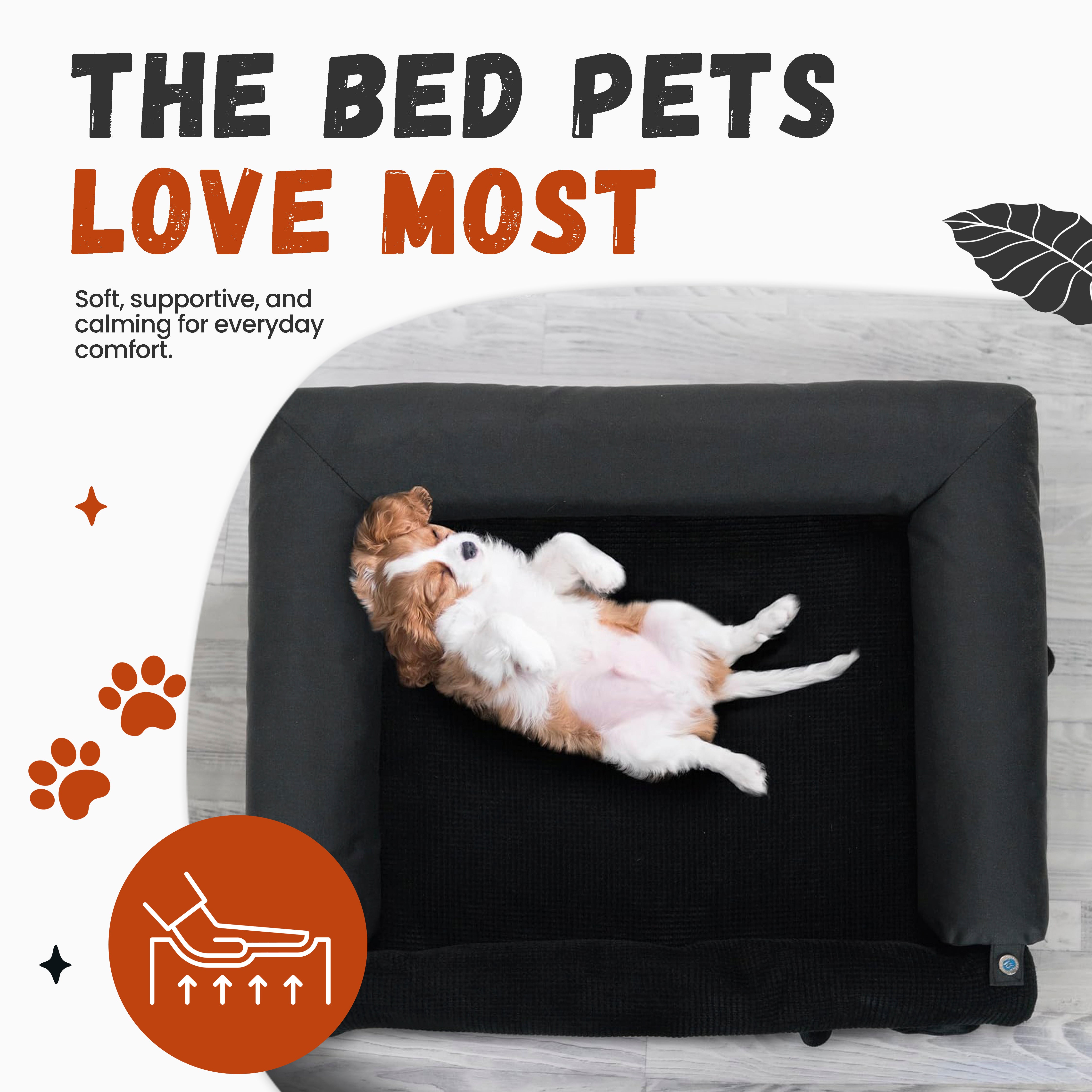 The Bed Pets Love Most